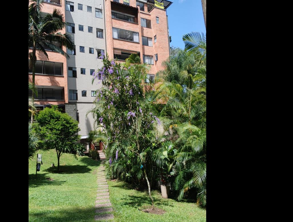 Foto principal