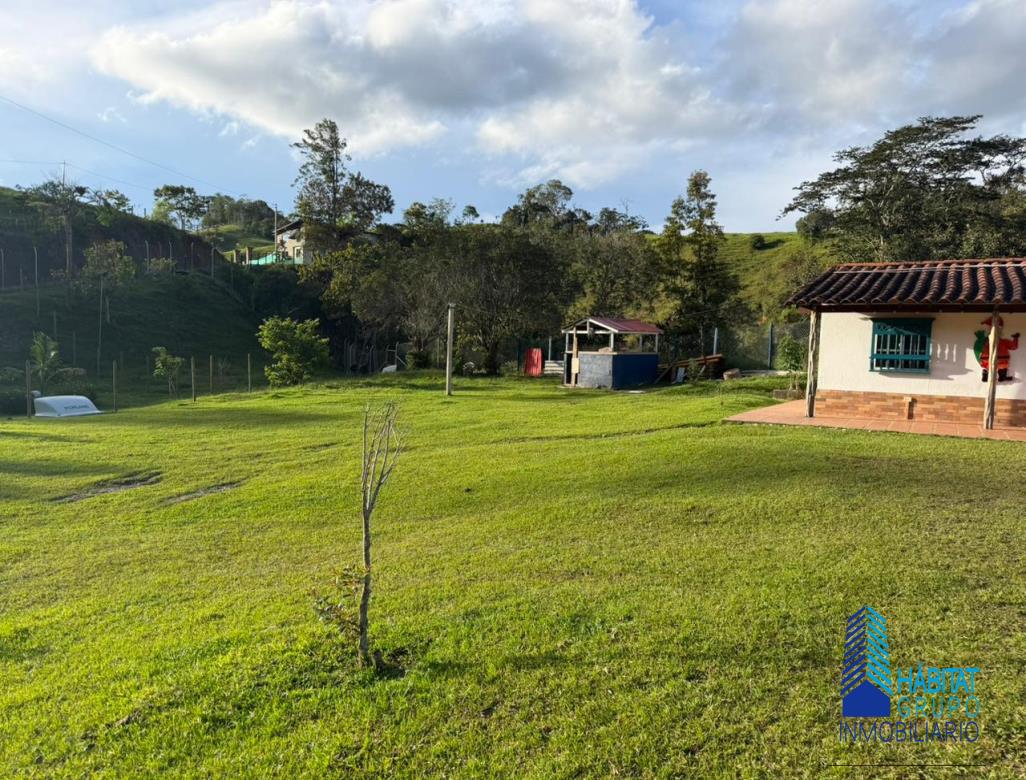 Foto principal
