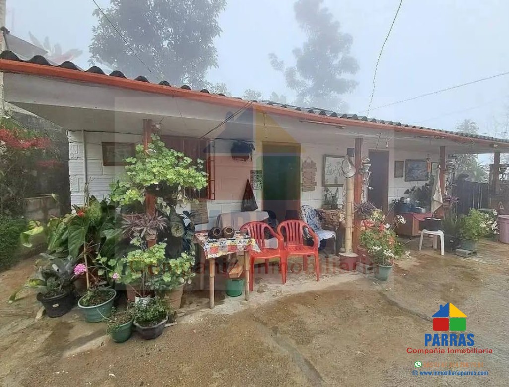 Foto principal