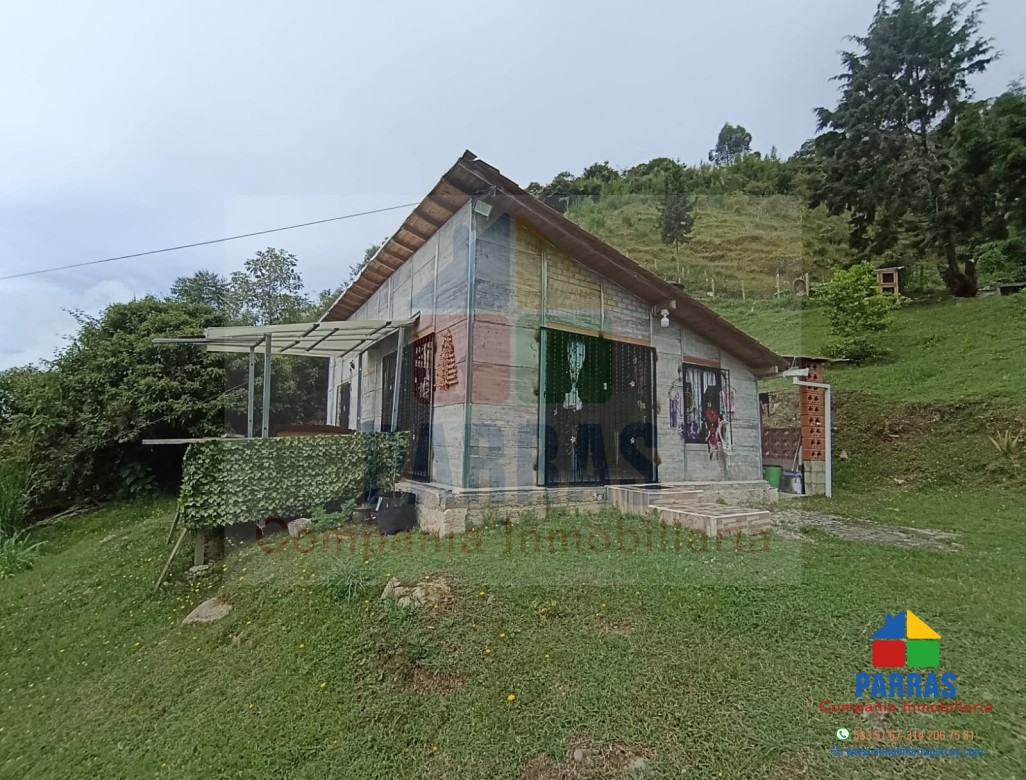 Foto principal