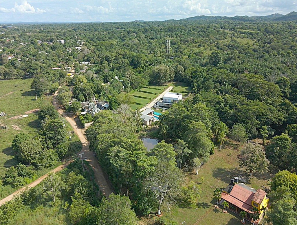 Foto principal