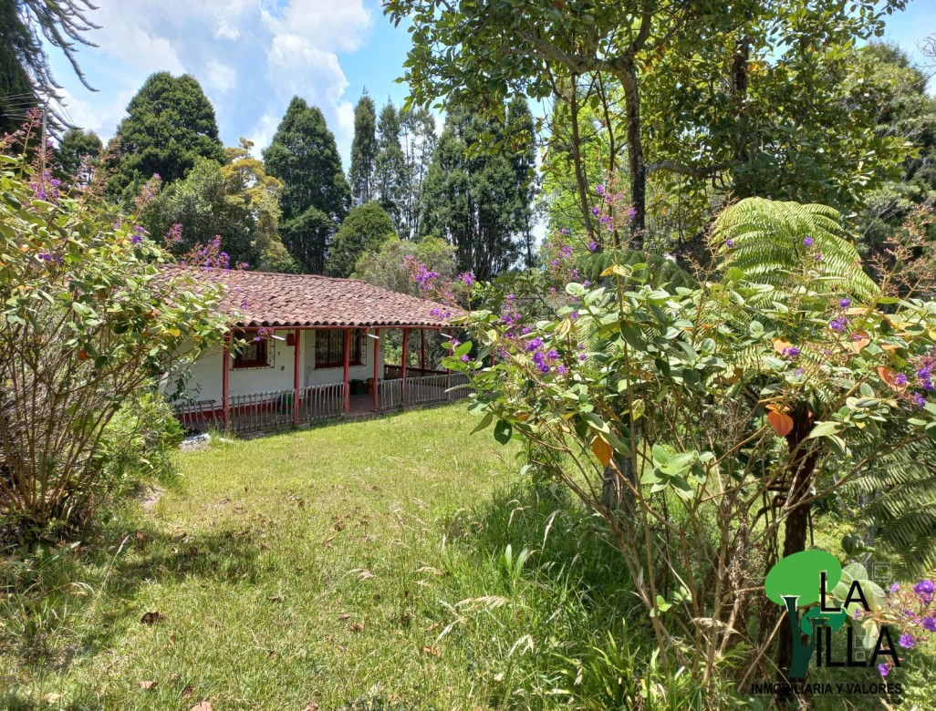 Foto principal