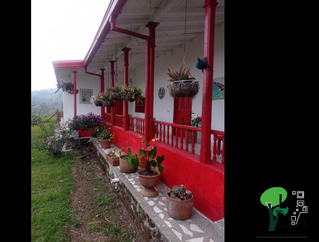 Foto principal