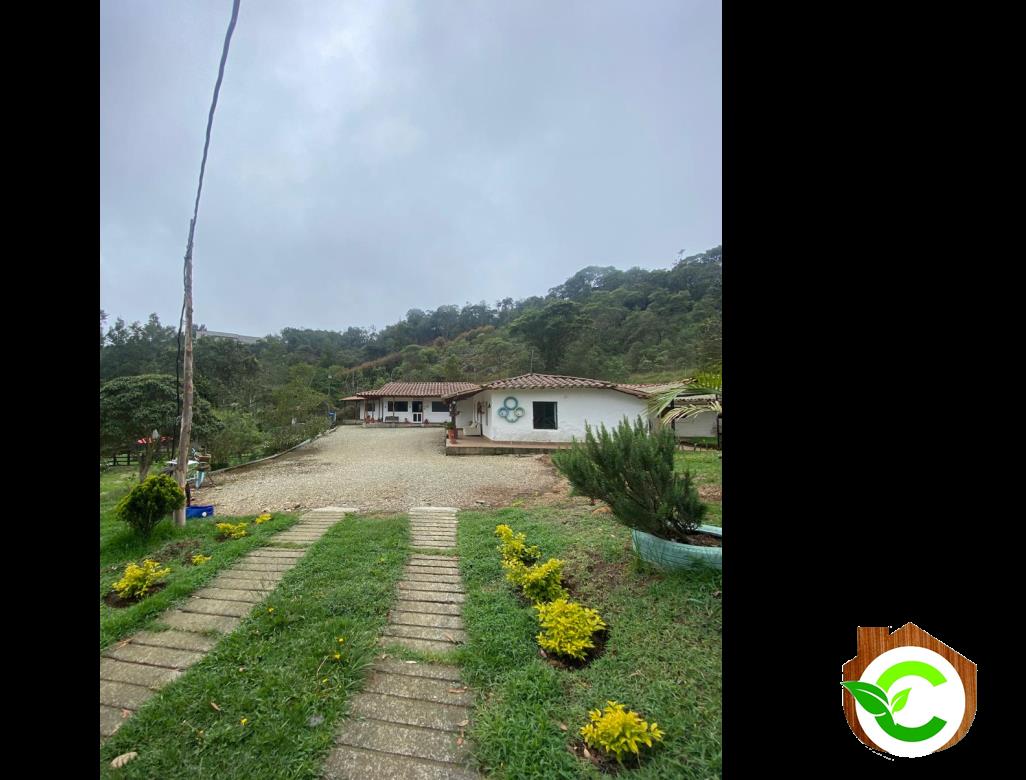 Foto principal