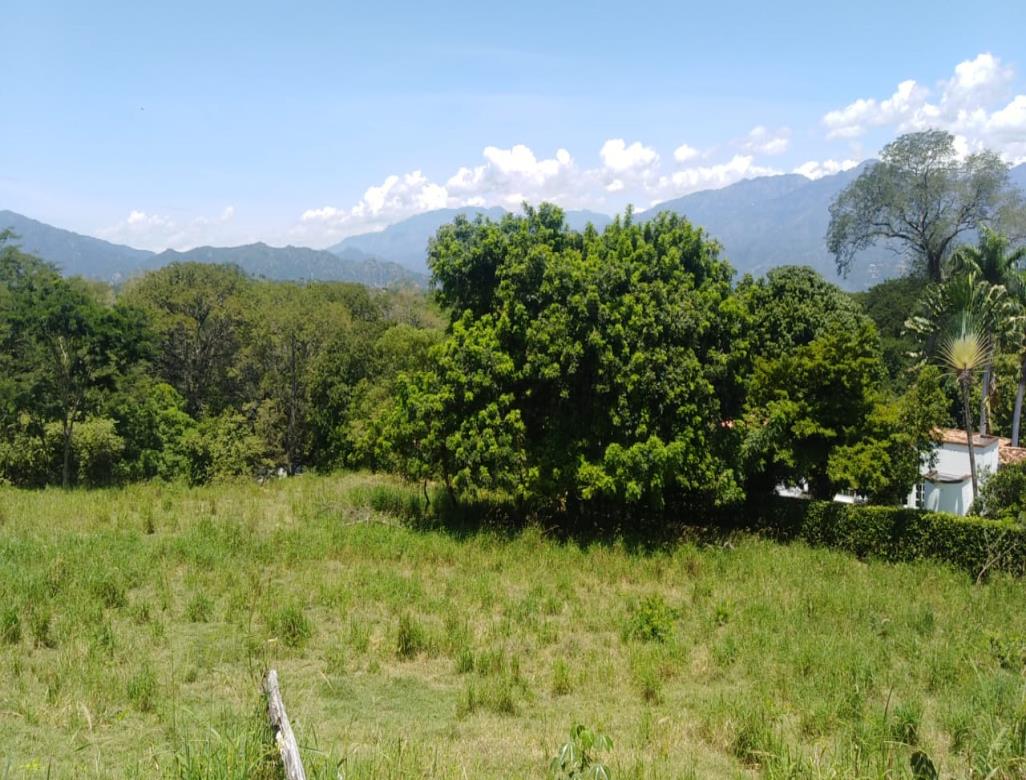 Foto principal
